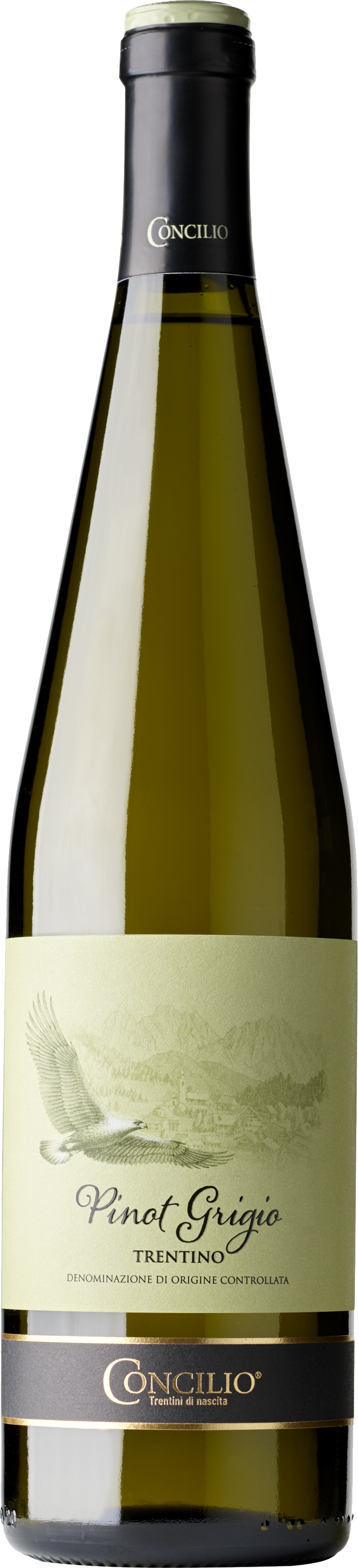 Augustbox: Pinot Grigio von Südtirol bis Apulien