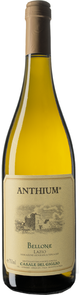 Anthium Bellone Bianco Lazio IGT 2025