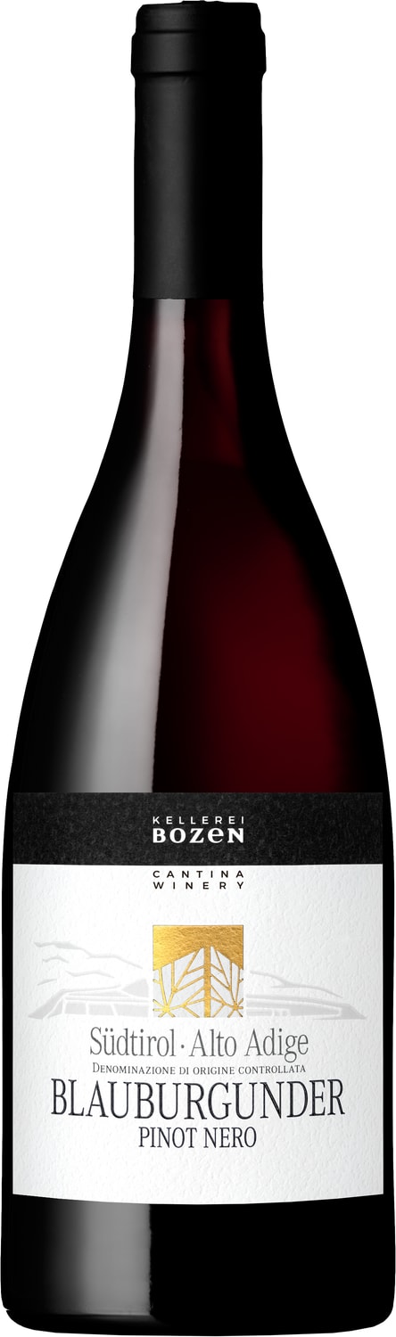 VL10649 - Pinot-Nero.png (Beschreibung) Beschreibungsbild für VL10649