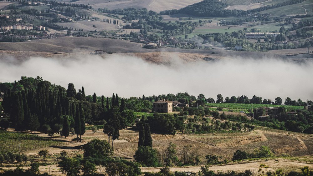 Das Anwesen Casisano mit Rebzeilen im südöstlichen Montalcino