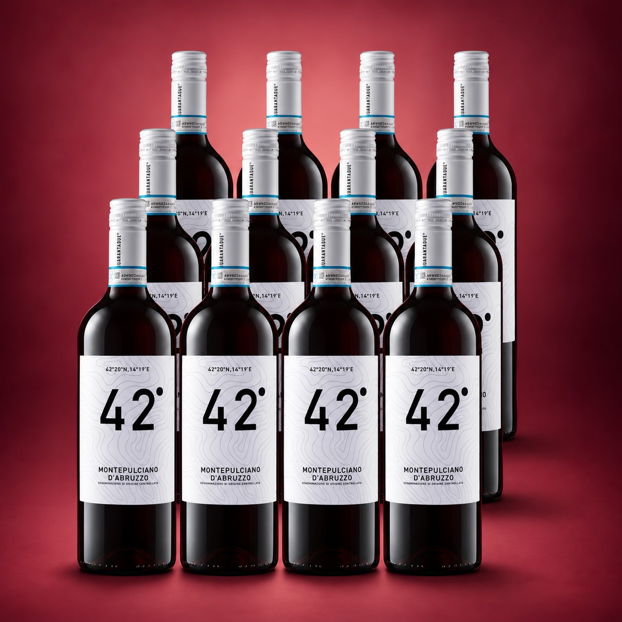 Montepulciano d'Abruzzo 12er Vorratspaket