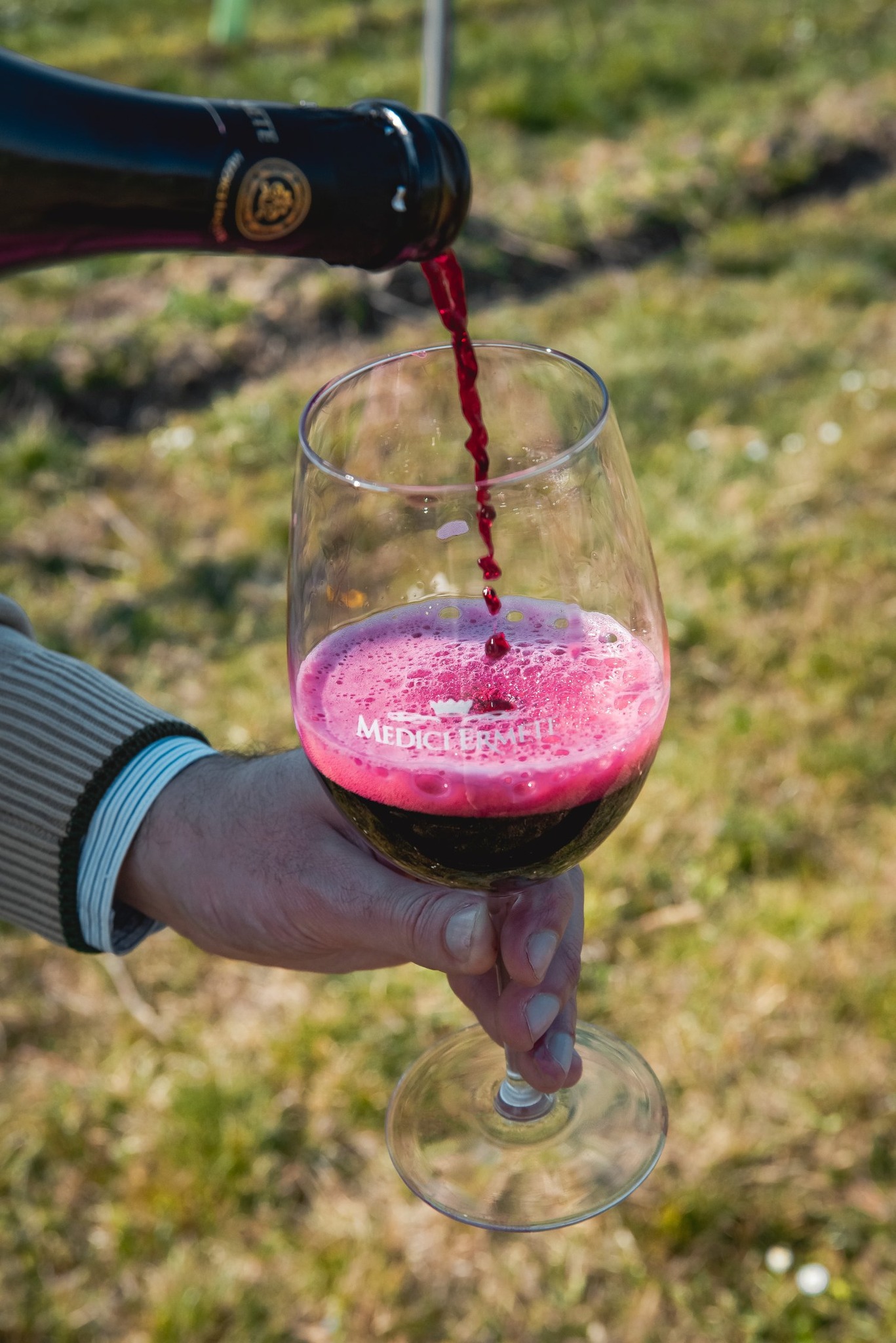 Lambrusco wird in Weinglas eingeschenkt