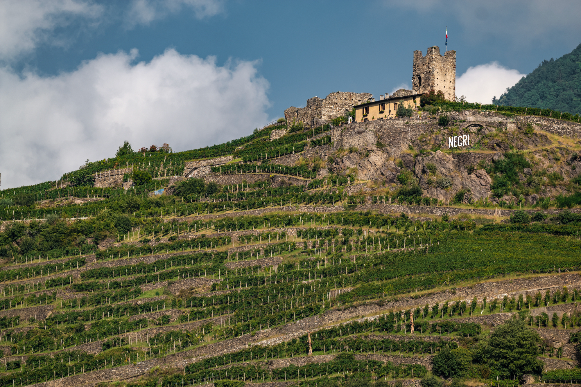 Terrassierte Weinberge der Valtellina