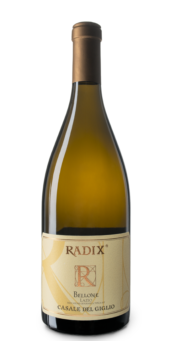 Produktbild für VL11716