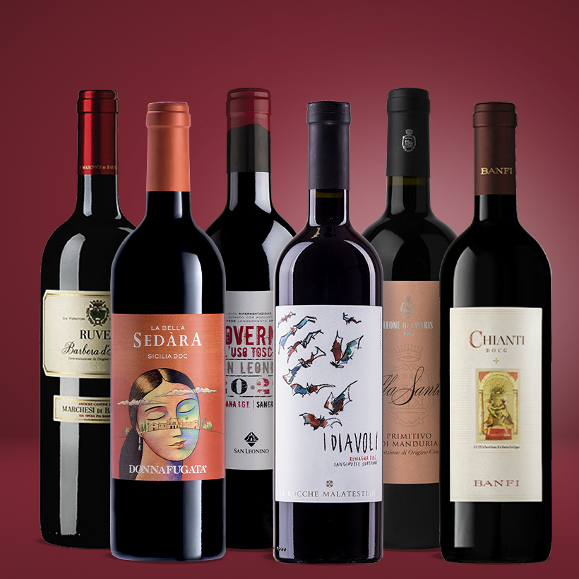 Vinolisa Selezione Das Pizza & Pasta Rotweinpaket