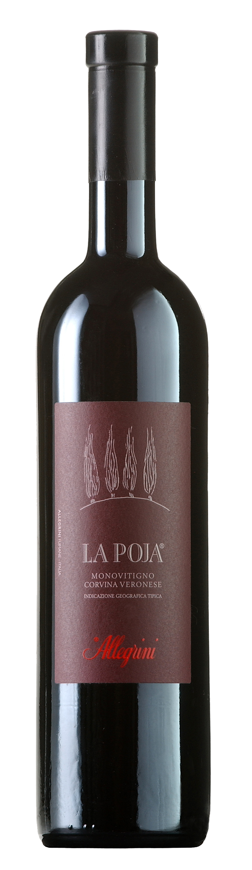 La-Poja La Poja Veronese IGT 2013