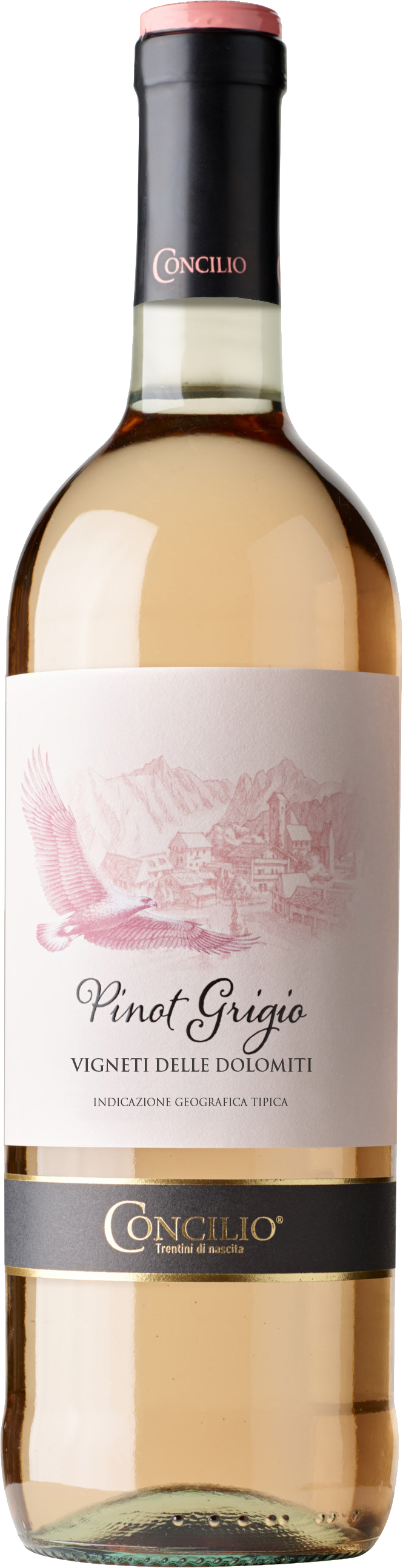 pinot-grigio-vdd-rosato-nativi Classici Pinot Grigio delle Dolomiti Rosé IGT 2023