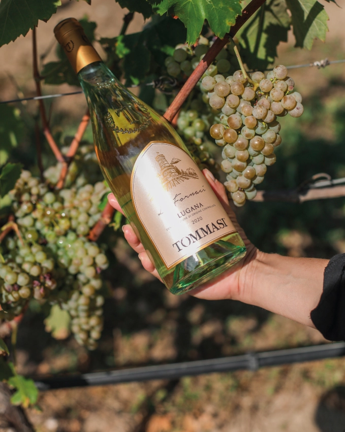 Hand hält Le Fornaci Lugana Flasche