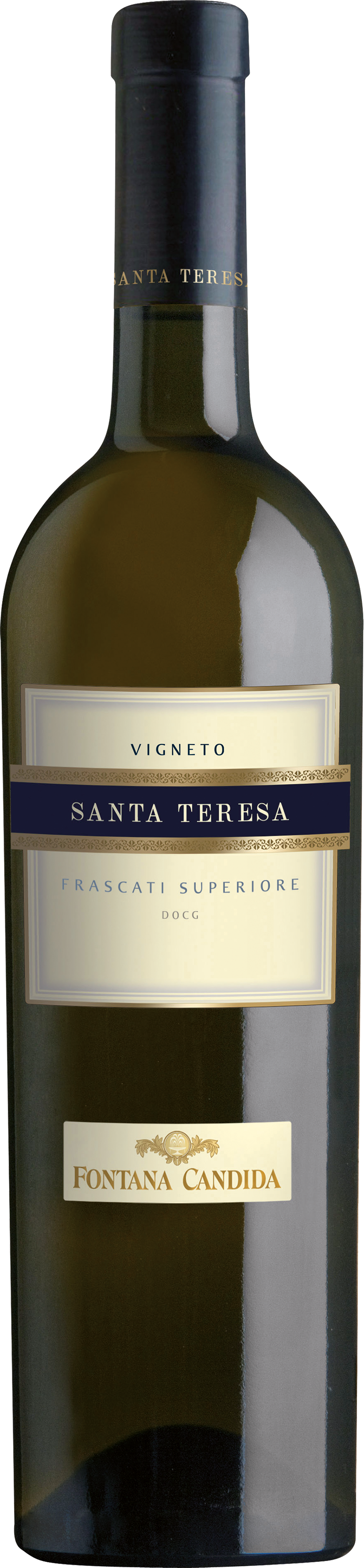 Vigneto-Santa-Teresa-Frascati-Superiore