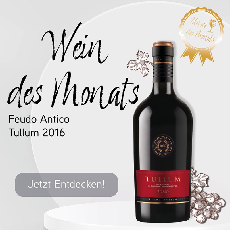 Wein des Monats Februar Feudo Antico Rosso Tullum 2016