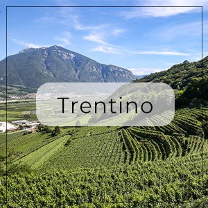 Trentino Weine