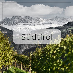 Südtirol Weine