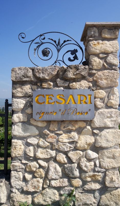 Cesari