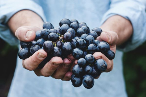 Nerello Mascalese