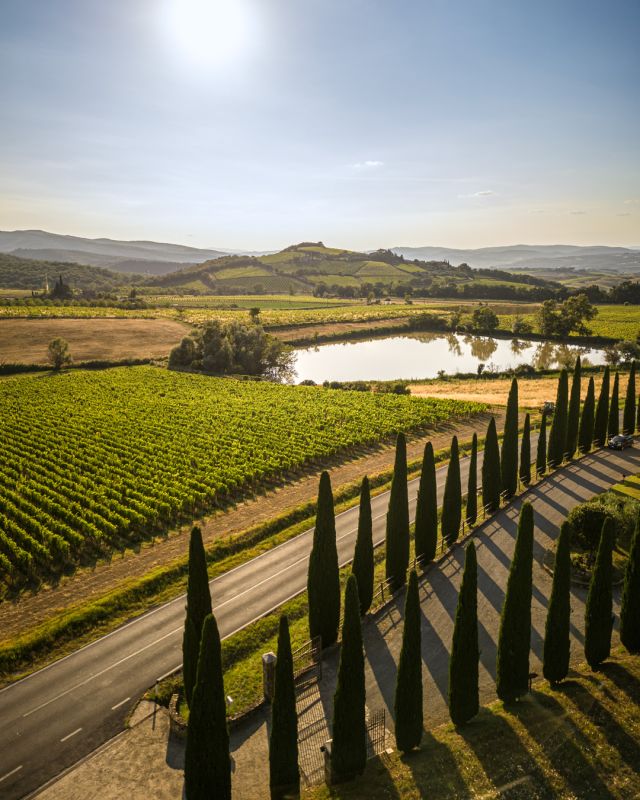 Val di Suga